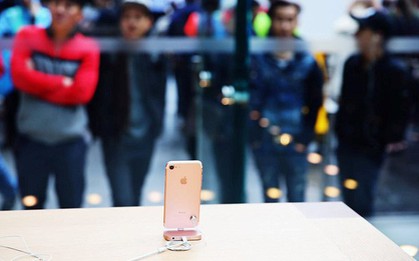 Apple và Samsung "tự bắn chân mình": Điện thoại đời cũ quá tốt, không ai muốn mua điện thoại đời mới giá cao nữa!