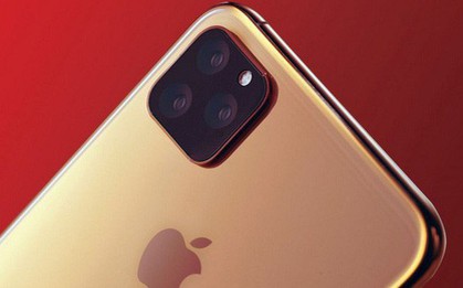 Đến Apple cũng thấp thỏm lo âu về doanh số iPhone 2019 do máy không có nhiều điểm đột phá