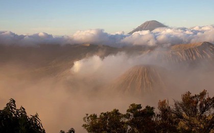 Các nhà khoa học đã tìm ra một "thế giới kỉ Jura" ngay bên dưới nước Úc