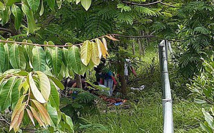 Thi thể người đàn ông phân hủy bên lề đường Hà Nội