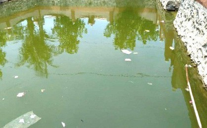 Bé trai ngã xuống ao tử vong khi chạy theo mẹ đi mua hàng