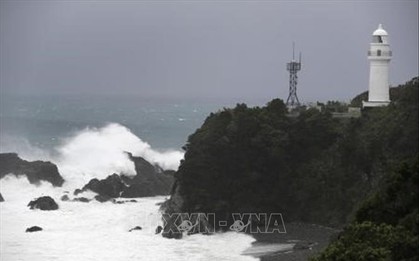 Vụ chìm tàu Panama: Nhật Bản xác nhận 5 thủy thủ thiệt mạng, 3 người mất tích