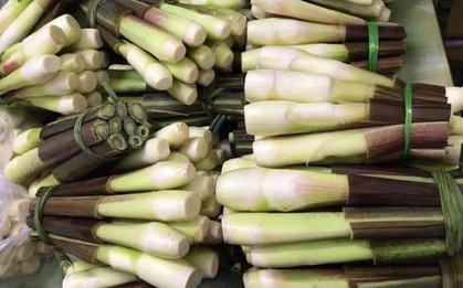 Chuyên gia đông y mách bạn tận dụng loại củ “mọc bờ mọc bụi” để vừa ăn ngon vừa chữa bệnh trong mùa thu này
