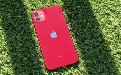 Giá iPhone rẻ nhà nhà đều vui, nhưng vẫn có người buồn lòng vì nó?