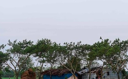Bão Bulbul càn quét Ấn Độ và Bangladesh khiến ít nhất 20 người chết