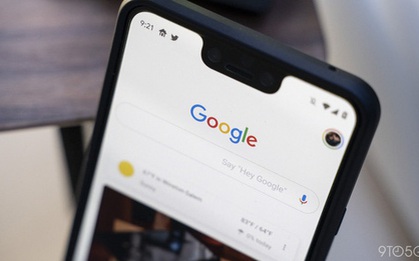 Lỗi kỳ quặc của ứng dụng Google trên Android: Tự "sập" mỗi khi tìm kiếm chứa từ "message"