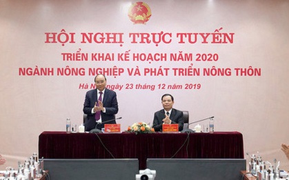 Thủ tướng: Không có chuyện thiếu thịt lợn, xử lý nghiêm phao tin để trục lợi