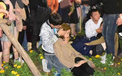Chen nhau đón năm mới, thiếu nữ ngất xỉu bên vườn hoa Hà Nội