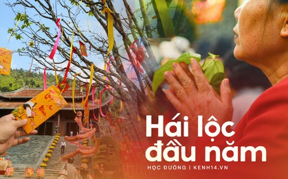 Hái lộc đầu năm sao cho đúng để có nhiều tài lộc, may mắn, đừng quá tham “lộc” kẻo thành kẻ phá hoại dịp Tết!