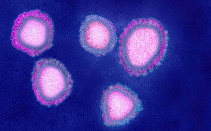 Đây là 8 điều quan trọng bạn cần biết về virus Vũ Hán: Nó lây nhiễm thế nào, phòng chống ra sao?