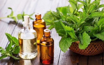 Ngoài chế độ ăn uống và tập luyện hợp lý, có 5 loại tinh dầu bạn cũng nên sử dụng để giảm cân nhanh và an toàn
