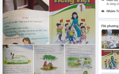 Bộ GD-ĐT yêu cầu kiểm tra nội dung sách giáo khoa Tiếng Việt lớp 1