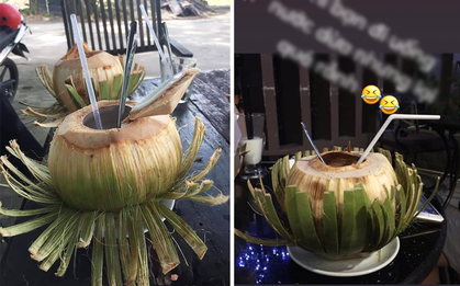 Hẹn hò buổi đầu ngại ngùng không biết nói gì, cặp đôi bèn rủ nhau ngồi… xé vỏ dừa và 7749 thành quả cười xỉu khác từ dân mạng
