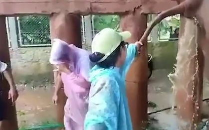 Cứu chữa cho voi bị táo bón, bác sĩ thú y được pha hứng trọn chất thải như thác đổ, cư dân mạng hò nhau: "Đừng dại xem lúc ăn cơm!"
