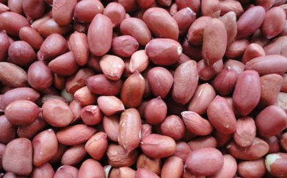 4 loại thực phẩm có vỏ không phải là rác, vứt bỏ chúng là bạn đang ném đi cả "mớ" dinh dưỡng cực tốt cho sức khỏe