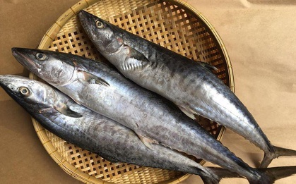 Trên thế giới, có duy nhất một quốc gia chưa bao giờ có bệnh nhân bị ung thư: Bí quyết của họ gói gọn trong 4 món ăn mà người Việt có rất nhiều