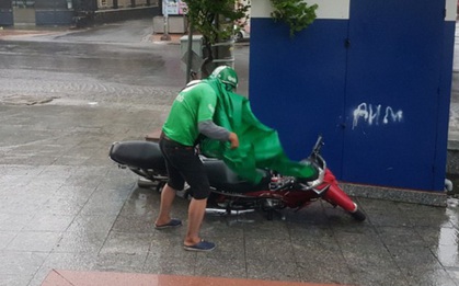 Hình ảnh bão số 12 đổ bộ: Mưa lớn, gió thổi mạnh quật đổ cây xanh