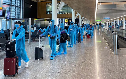Cảnh giác lừa bán vé máy bay đưa công dân Việt Nam về nước