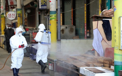 Hàn Quốc tăng mức cảnh báo cao nhất: 6 người chết, 602 ca nhiễm virus corona, 329 người có liên quan đến giáo phái ở Daegu