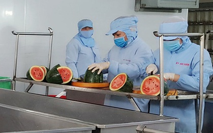 Dịch Covid-19: Xuất hiện bún dưa hấu siêu lạ, vừa ra lò đã xuất khẩu sang Hàn Quốc