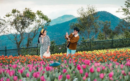 Trót lạc bước đến xứ hoa Bà Nà xuân này là không muốn rời