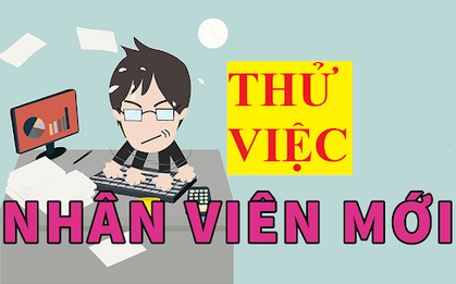 6 biểu hiện bạn trẻ nên có trong thời gian thử việc