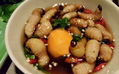 Việt Nam có những đặc sản làm từ sâu khiến khách nước ngoài sợ hãi tột cùng, nhưng một khi đã biết ăn là sẽ “nghiện”