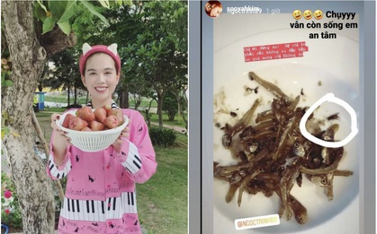 Cuộc sống thường ngày tại “siêu biệt thự tiền tỷ” của Ngọc Trinh: Tự leo cây hái mận, đăng clip ăn cá khô nhưng bị fan phát hiện điểm bất thường