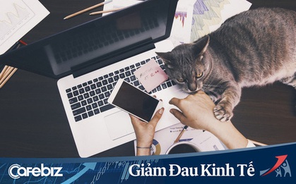 Bí quyết làm việc online mùa dịch "không quạo": Tôi đã làm việc tại nhà suốt 10 năm và đây là những điều giúp tôi thành công trong công việc