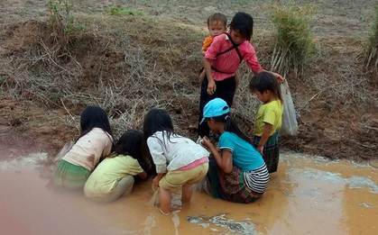 Những đứa trẻ nhặt phân bò, bắt sâu muồng thay học trực tuyến