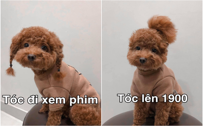 Con sen làm stylist cho boss chiếm spotlight vì quá đáng yêu: Tóc bên phải chỉ buộc khi đi làm, tóc bên trái buộc khi đi xem phim