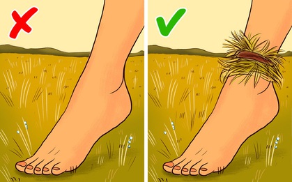 10 kĩ năng sinh tồn giúp những chuyến dã ngoại đỡ 'hành xác' hơn, thậm chí là cứu mạng bạn nếu gặp tình huống nguy cấp