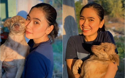 Cô nhân viên văn phòng nuôi đàn chó ta 9 con: "Ai cũng bảo chó cỏ không đẹp không được cưng, thì tui cưng!”