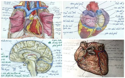 Học môn Giải phẫu, nam sinh ngành Y vẽ bộ phận cơ thể người giống thật đến 99% khiến ai nhìn cũng sởn gai ốc