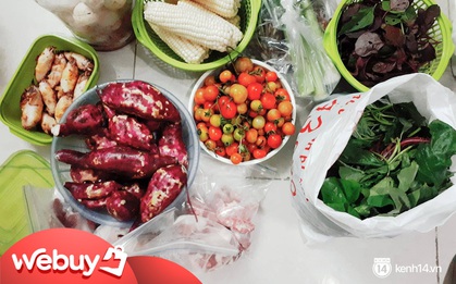 3 năm đi làm ở Hà Nội, cô bạn tiết lộ bí quyết chỉ tốn hơn 1 triệu tiền ăn/tháng mà bữa nào cũng ngập mặt thịt cá rau củ