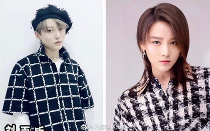 Dàn tomboy hot nhất “Sáng Tạo Doanh” và “Thanh Xuân Có Bạn 2” lộ ảnh tóc dài trong quá khứ, gây sốc nhất là Lưu Mộng