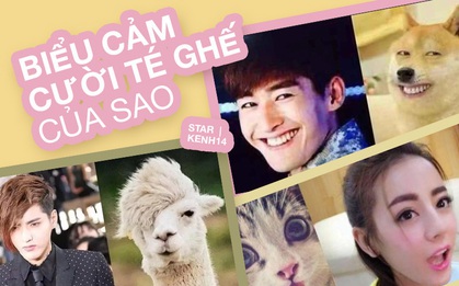 Cười té ghế với biểu cảm của Nhiệt Ba, Ngô Diệc Phàm cùng dàn sao với thú cưng: Giống tới nỗi "đi vào huyền thoại"