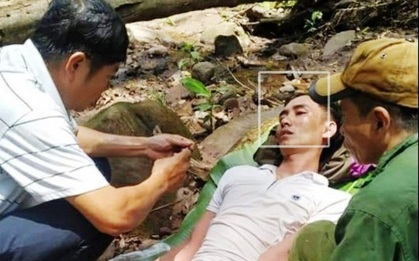 Quảng Bình: Cùng bố vợ vào rừng đốt ong lấy mật, con rể bị ong đốt nguy kịch