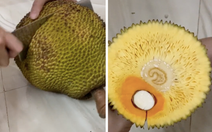 Từ bao giờ quả mít lại trở thành "tội đồ" thế này: hết mít không múi đến những lần bổ mít gây choáng cư dân mạng