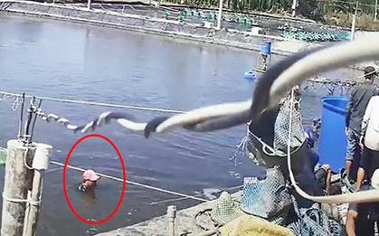 Dàn cảnh trộm tôm “siêu” tinh vi: Đã bắt 16 đối tượng