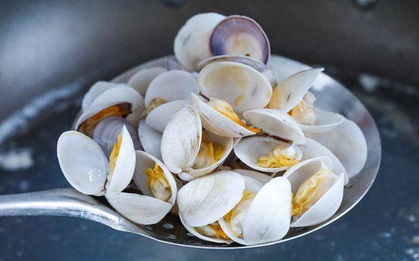 Ngao ngọt béo lại rất bổ dưỡng nhưng có 5 nhóm người cần nói KHÔNG với loài hải sản này