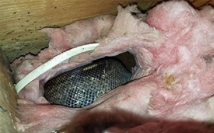 Nghe tiếng ồn trên tầng gác mái suốt 4 năm liền nhưng đinh ninh là chuột chạy, cặp vợ chồng tái xanh mặt khi phát hiện sự thật