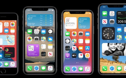 iOS 14 chính thức ra mắt với giao diện hoàn toàn mới, iPhone 6s "già cỗi" vẫn update thoải mái
