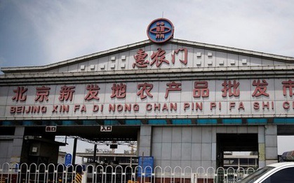 Covid-19 hồi sinh: “Mỗi ngày là một kỷ lục mới và nghiệt ngã hơn“