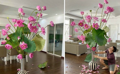 Bình sen "chân dài miên man" chạm trần nhà thu hút 8 nghìn like, ai cũng ngỡ ngàng vì lần đầu thấy cành hoa dài hơn 2m