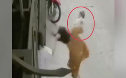 Công an thông tin chính thức vụ vợ đang bế con bị chồng giật tóc ngã ngửa: "Không có chuyện hành hung"
