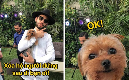 Nhờ vả đúng thánh photoshop "có tâm", sản phẩm cuối cùng khiến dân mạng không ngậm được miệng