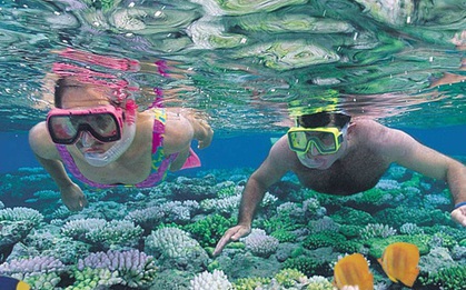 Nghe nói vịnh san hô ở Nha Trang đẹp lắm, mà nay chỉ cần chưa đến 1 triệu đồng/người là có thể tản bộ thảnh thơi ngắm đáy đại dương kỳ bí rồi
