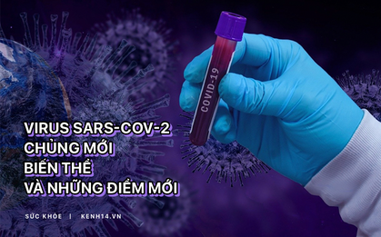 Virus SARS-CoV-2: Chủng mới, biến thể và những điểm mới