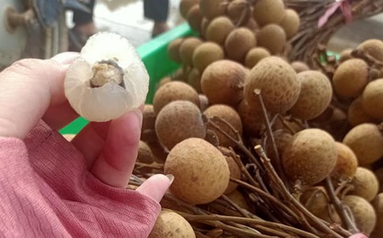 Nhãn lồng Hưng Yên được nhiều địa chỉ online rao bán "giải cứu" giá rẻ chỉ bằng 1/2 năm ngoái, đặc biệt các sản phẩm từ chế phẩm này cũng đã giảm theo